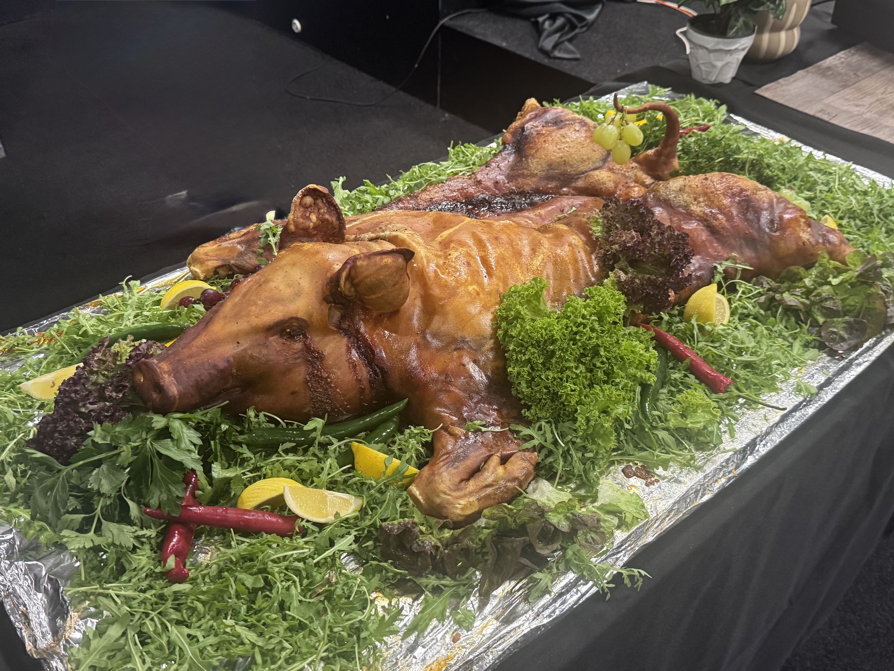 Ganzes gebratenes Spanferkel, angerichtet auf Kräutern für ein Event-Buffet